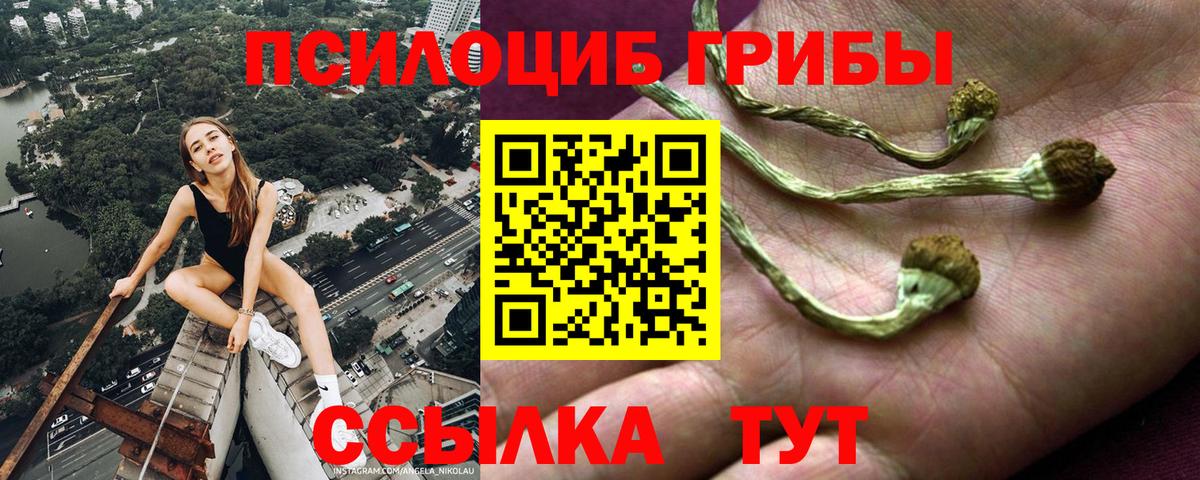 Галлюциногенные грибы прущие грибы  Вход с VPN  Сертолово 